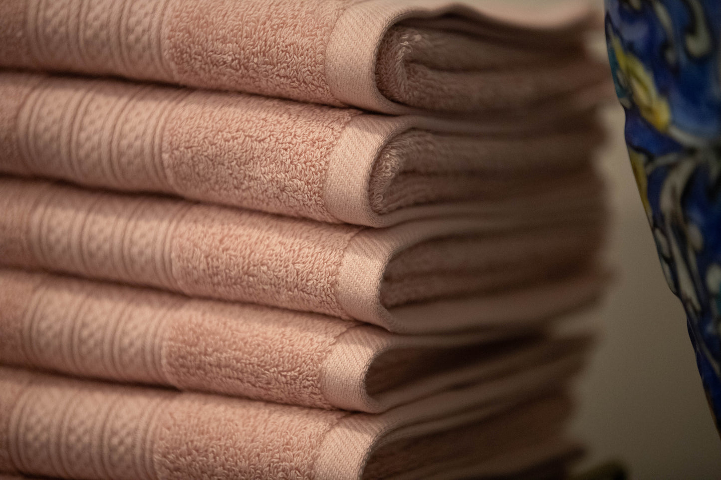 Fresh Hand - Bundle of 6