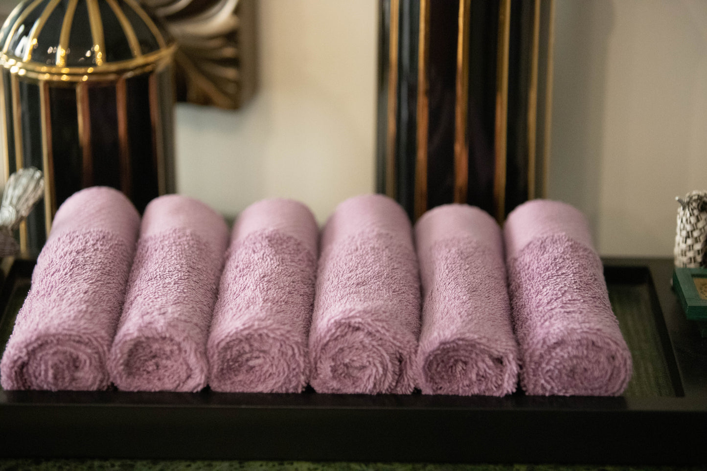 Face Washer - Premier plush (Set of 6)